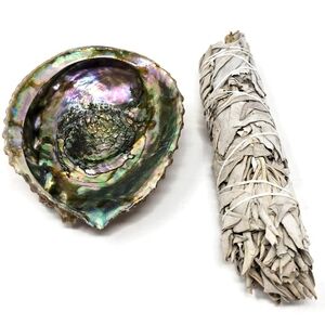 Large Abalone Shell White Sage Smudge Stick Cleansing Set
